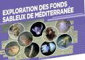 Exploration des fonds sableux de Méditerranée