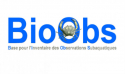 Formation sur l'utilisation de BioObs