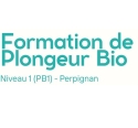 Formation Plongeur Bio Niveau 1