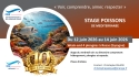 Stage Poissons de Méditerranée 2026