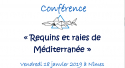 Conférence 