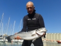 Pêche sous-marine -Stage National  Cadres  Cerbère du  12 au  13/11/16