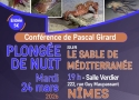 Conférence : 