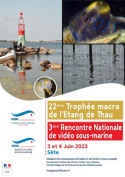 compétition Photographie et vidéo sous-marine.22ème TROPHÉE MACRO de l’ÉTANG de THAU