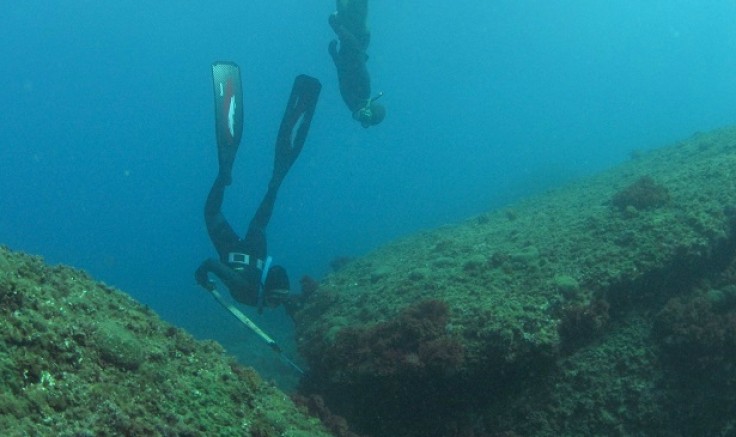 Pêche sous-marine