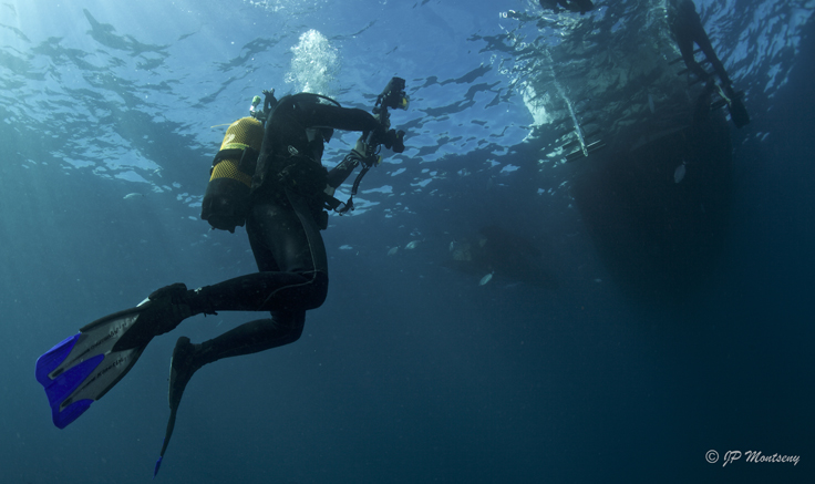 Plongée sous marine