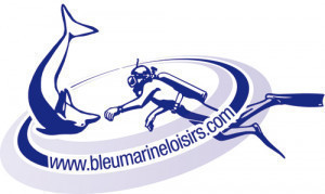 bleu-Marine.jpg