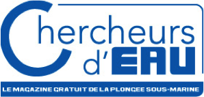 Chercheurs d'eau 