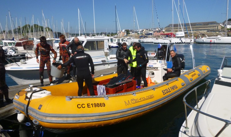 Pêche sous-Marine : remise à niveau des cadres