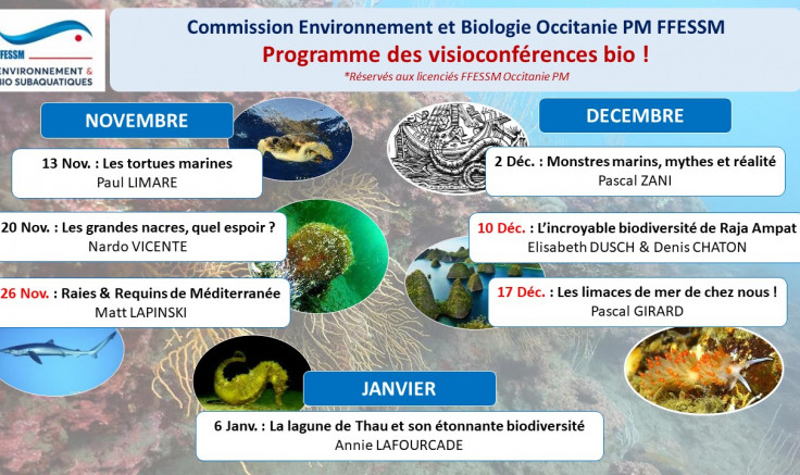 Replay des 7 visioconférences sur la biodiversité marine