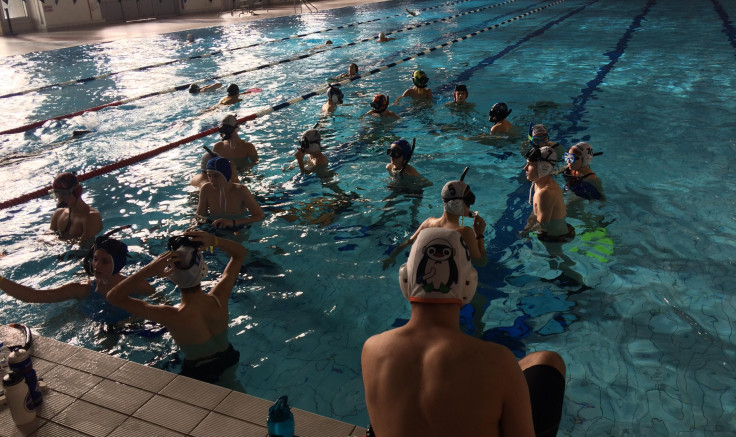 les jeunes manchots en immersion à Clermont Ferrand