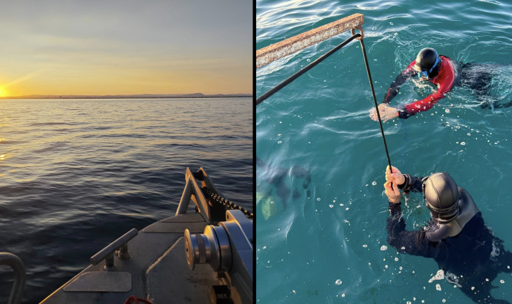 Atelier Mer : Initiation et Perfectionnement en Apnée - Carnon - 1er juin 2025