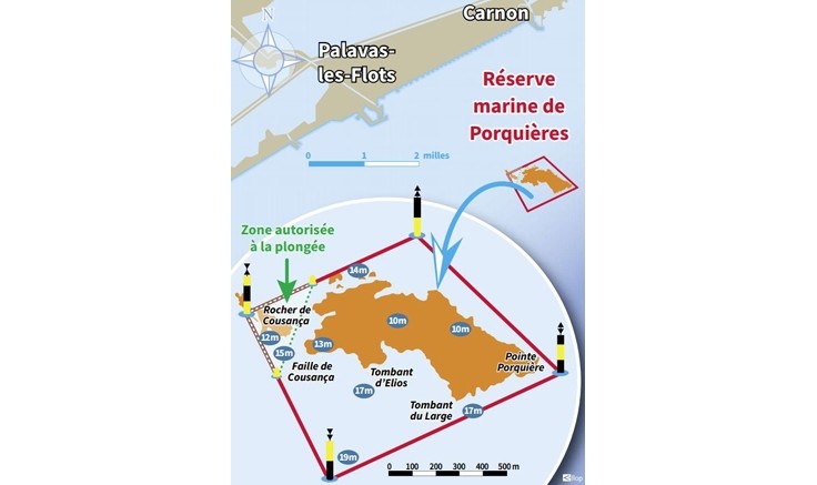 Codep 34 et Com bio : suivi Scientifique de Porquières