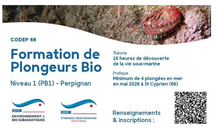 Le CDEBS Pyrénées-Orientales propose une formation PB1 pour la saison 2025-2026 sur Perpignan et sa région.