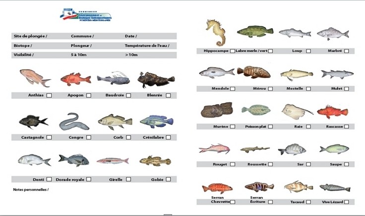 Biologie - Sentinelles PM - Comptage Benthos