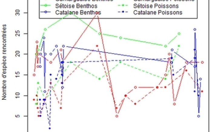 Préparation à la plongée d&#039;observation