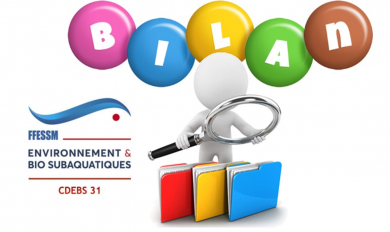 CDEBS31 - Bilan et Prévisions
